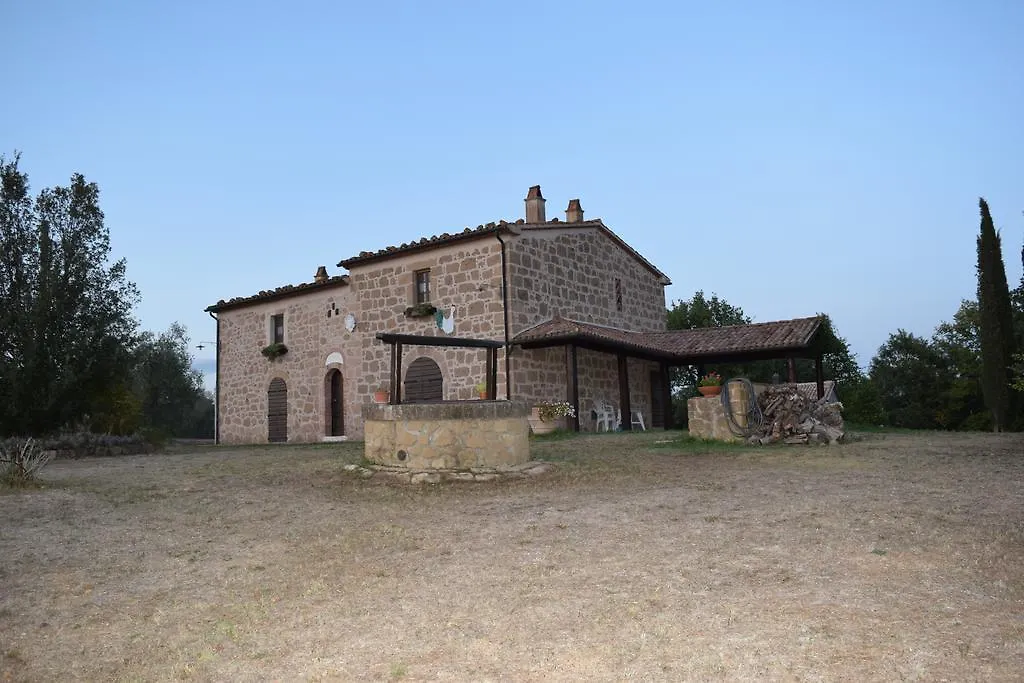 Podere Poggio Lupinaio Holiday home San Martino Italy